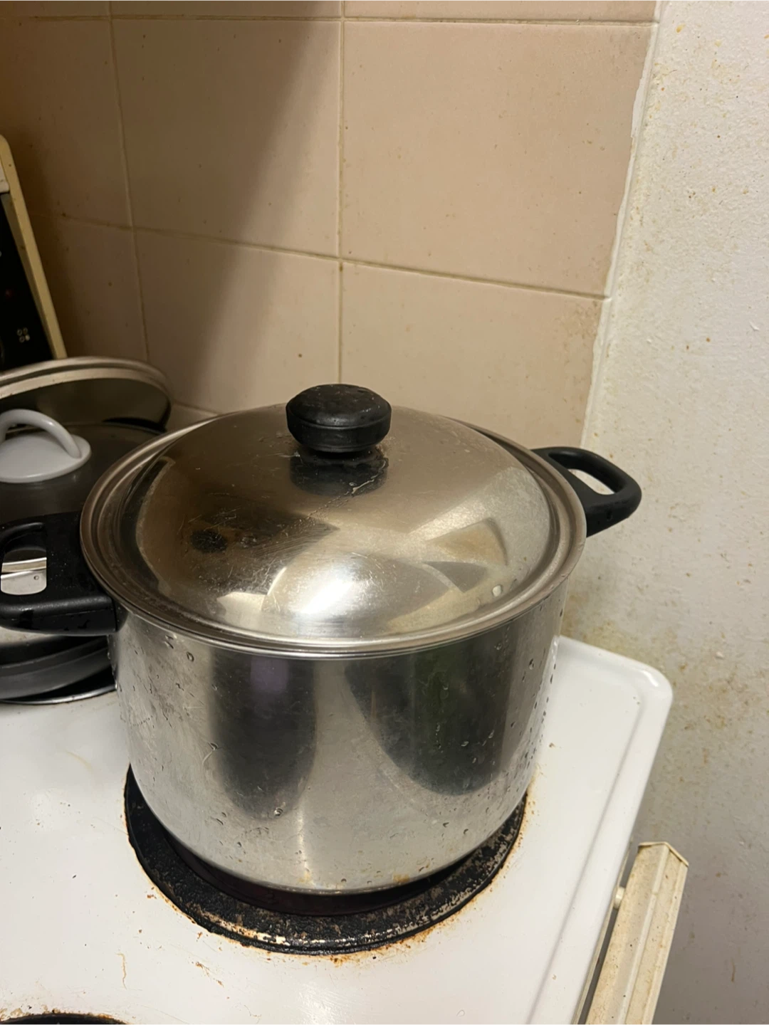 Large Stainless Steel Stock Pot with Lid