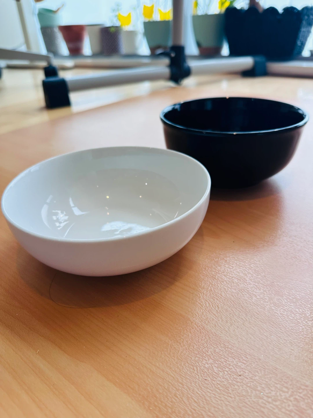 Stoneware Bowls x2🏈