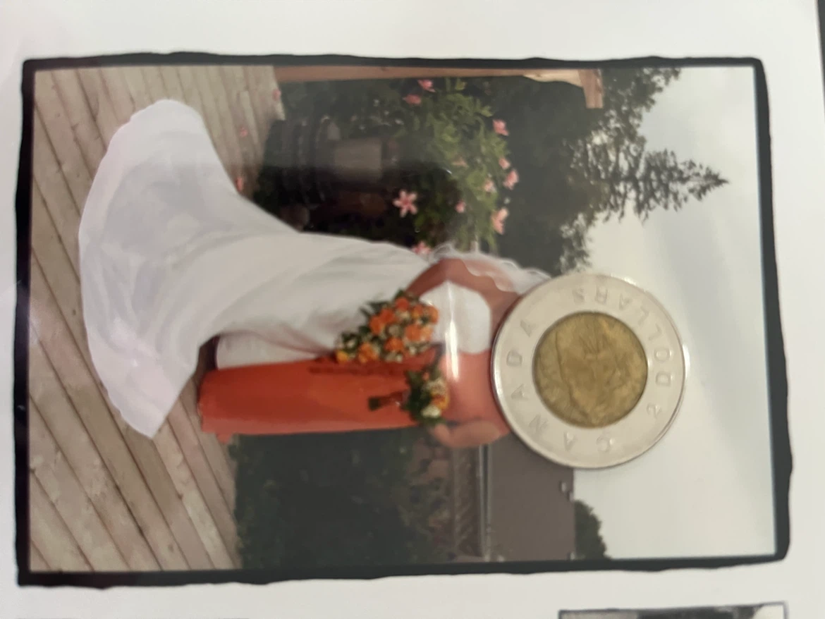 Wedding Dress - photo 3