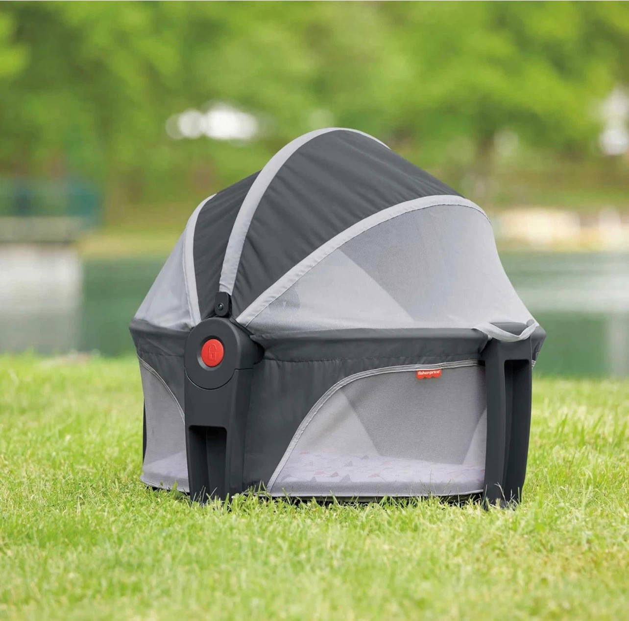 Fisher-Price On-the-Go Baby Dome - photo 2
