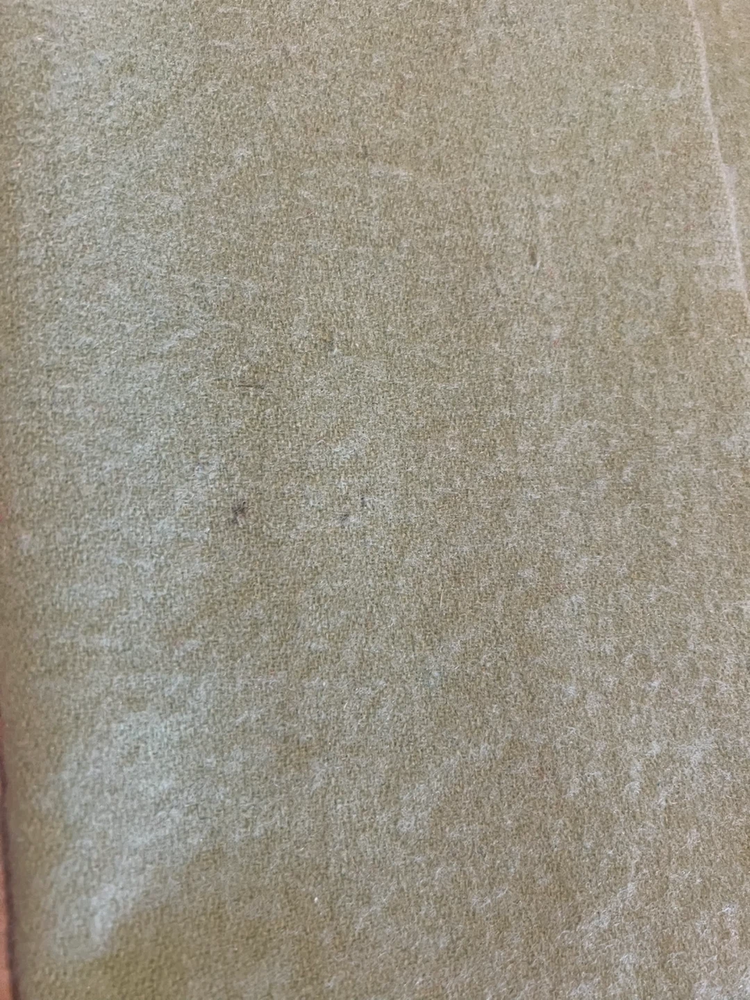 Vintage Wool Blankets for Repurposing/Sewing Projects - photo 5