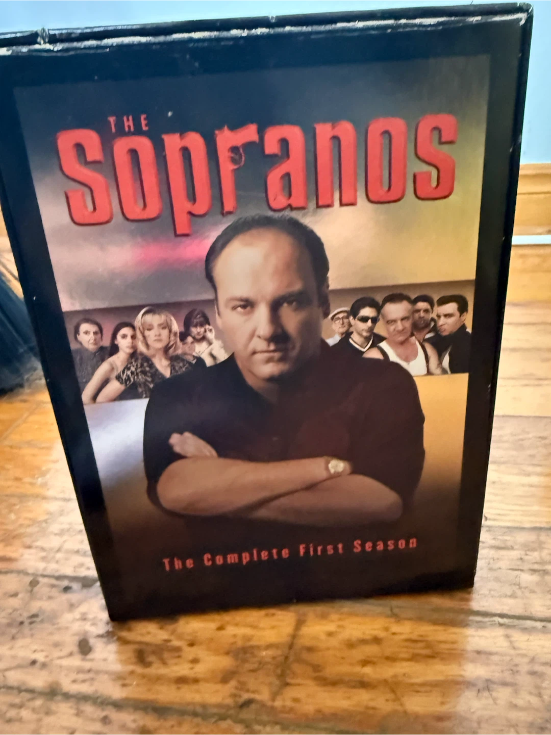 The Sopranos: The Complete First Season DVD