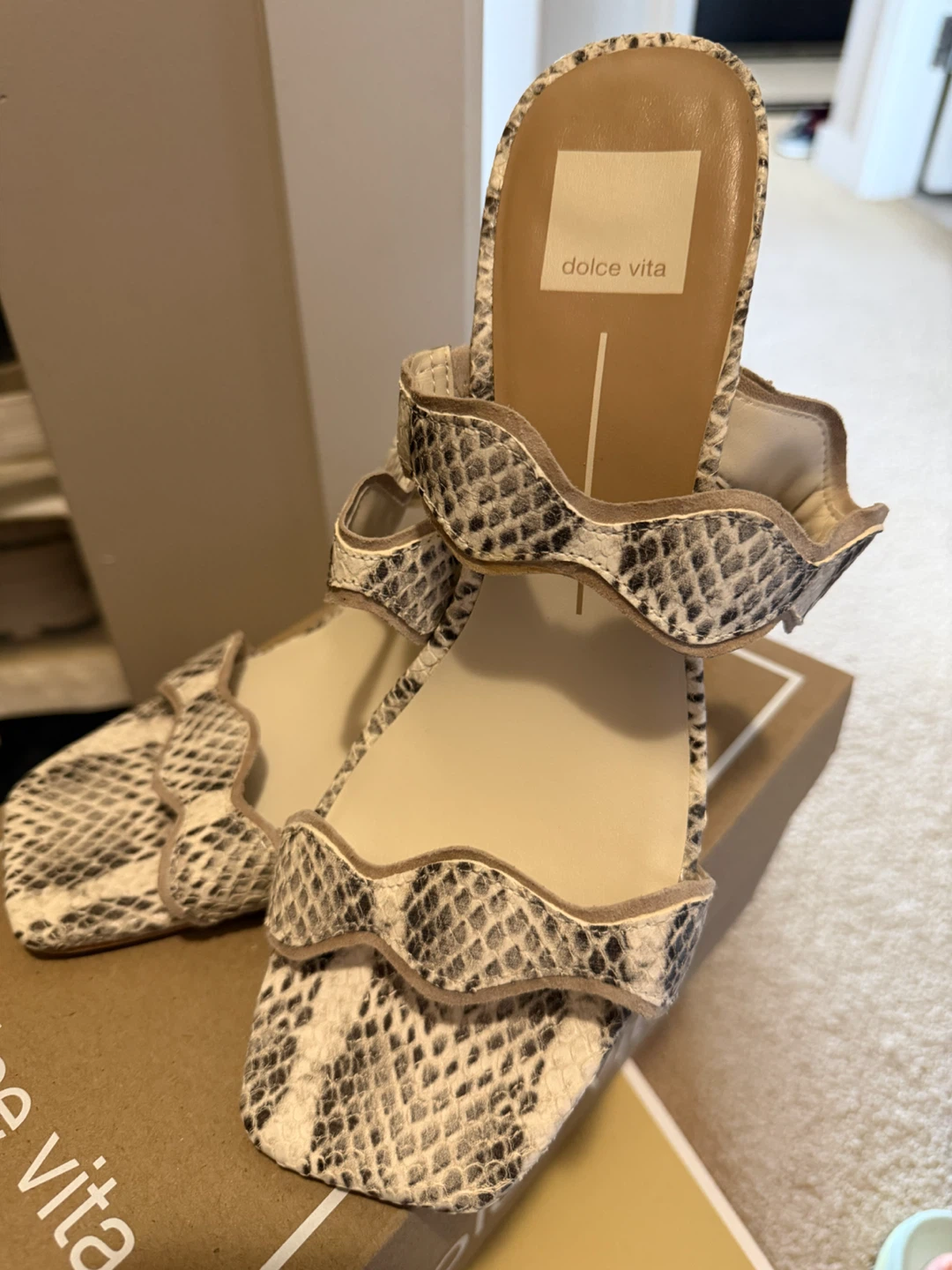 Dolce Vita Shoes
