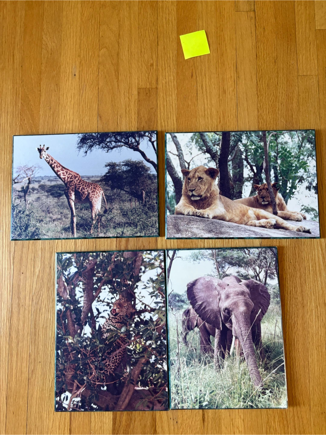 Set of 4 African Wildlife Wall Art Prints