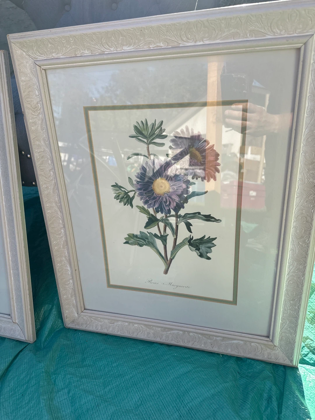 Set of 2 Floral Botanical Art Prints 🏈 - photo 4