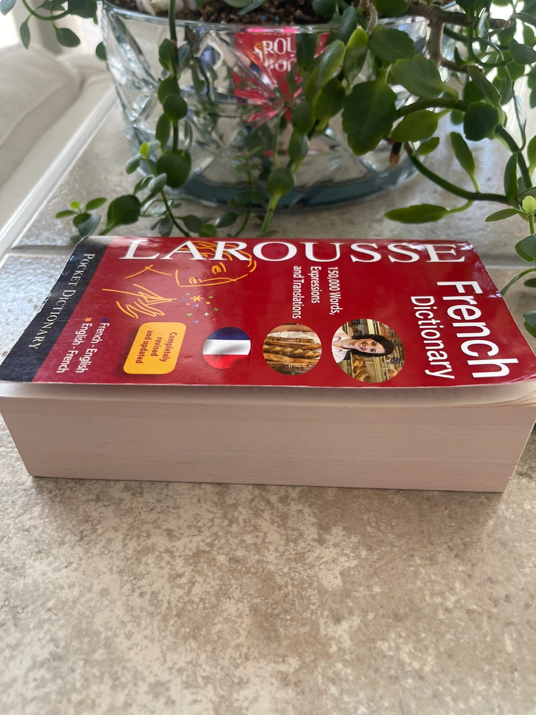 Larousse French-English Pocket Dictionary - photo 3