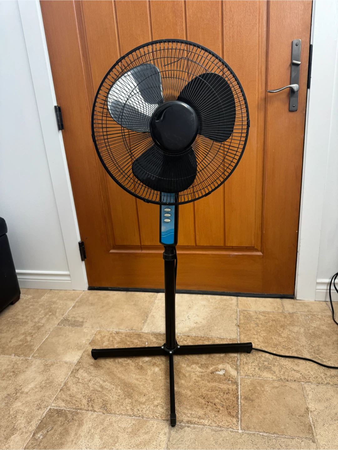Black Standing Pedestal Fan
