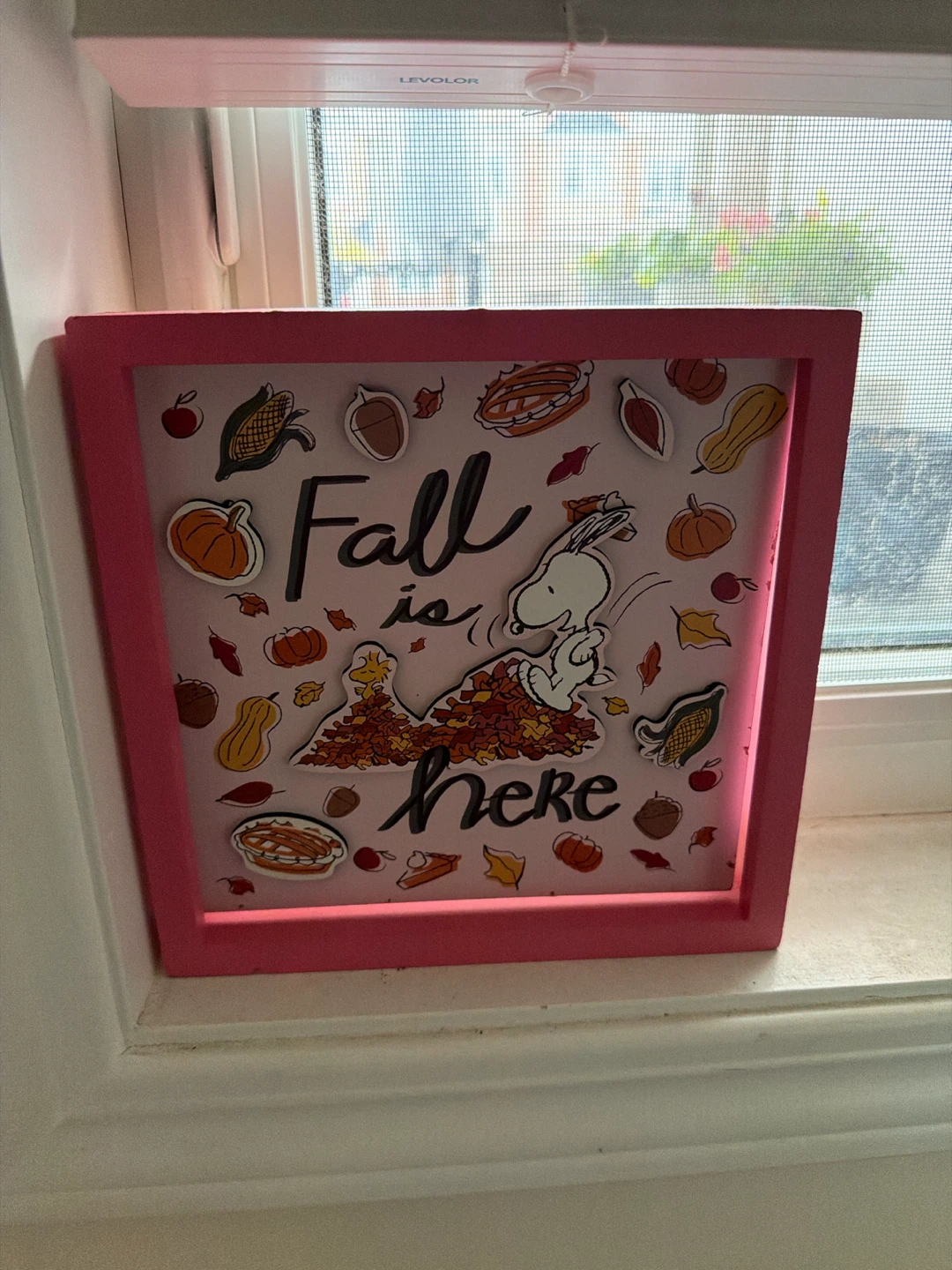 🏈 Peanuts Fall is Here Shadow Box Decor