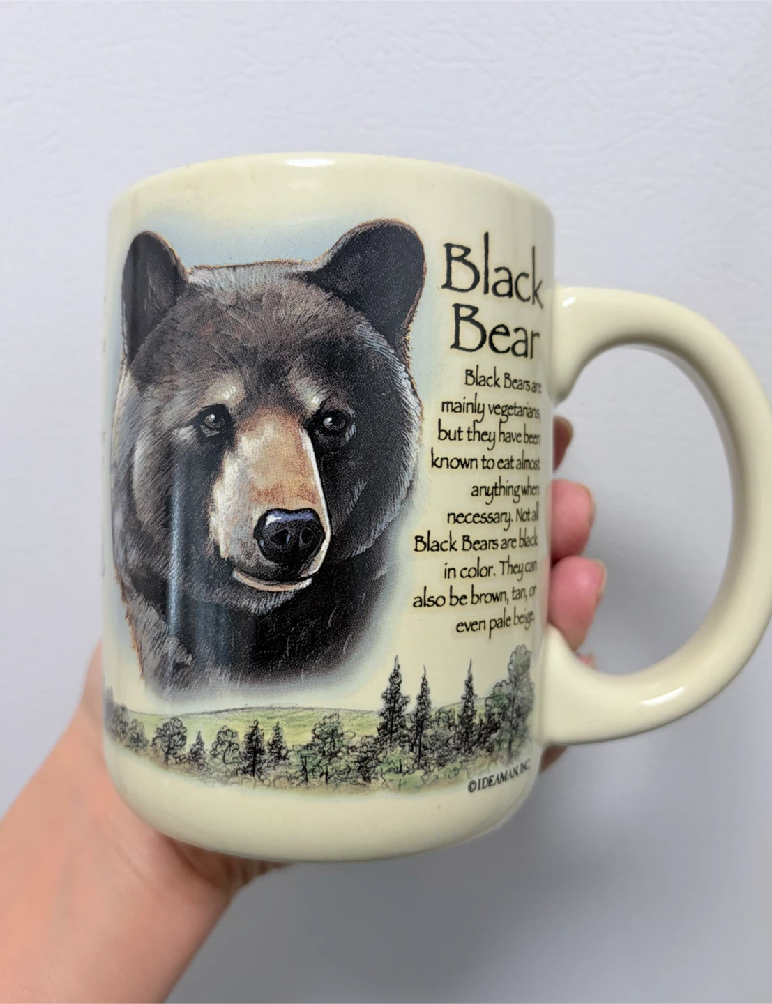 American Expedition Black Bear Ceramic Mug - photo 3