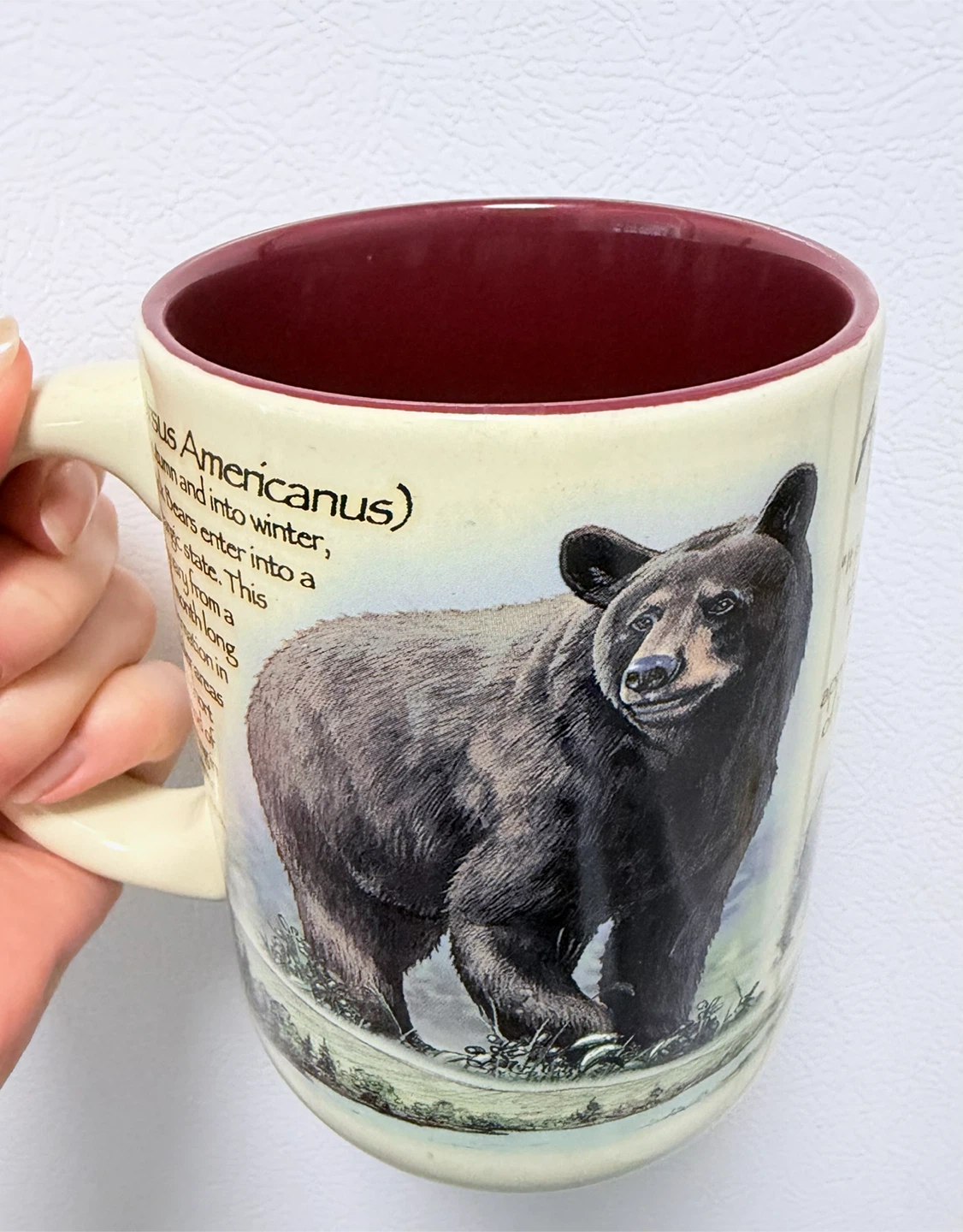 American Expedition Black Bear Ceramic Mug - photo 5