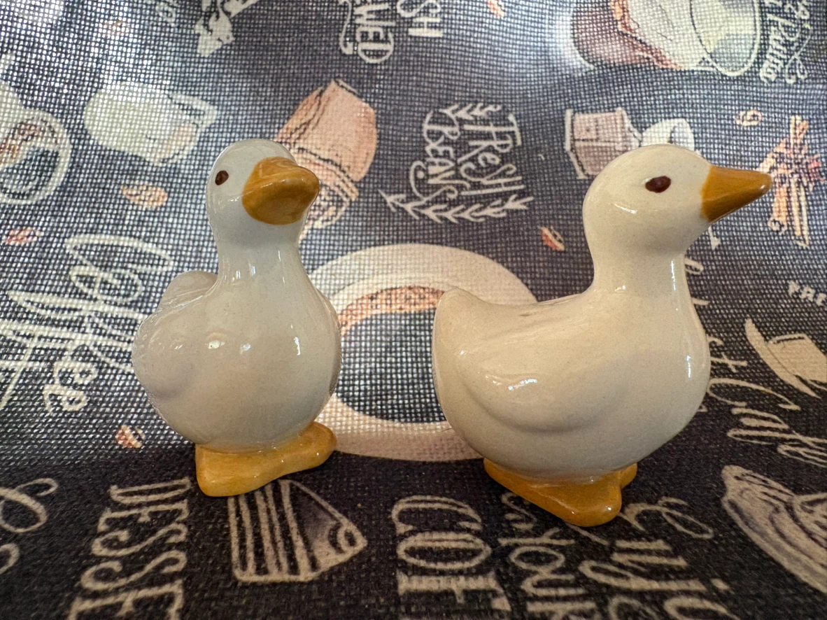 Ceramic Duck Salt and Pepper Shakers