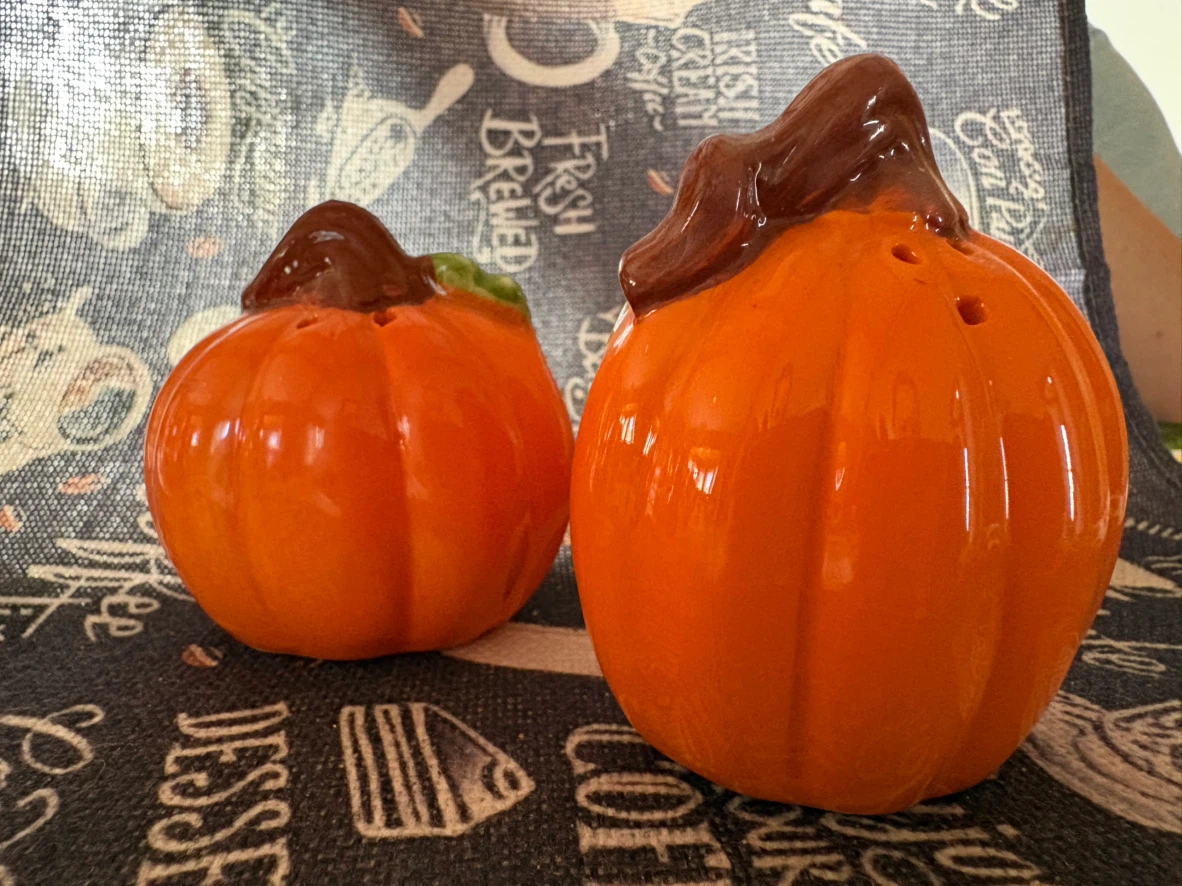 Ceramic Pumpkin Salt and Pepper Shakers