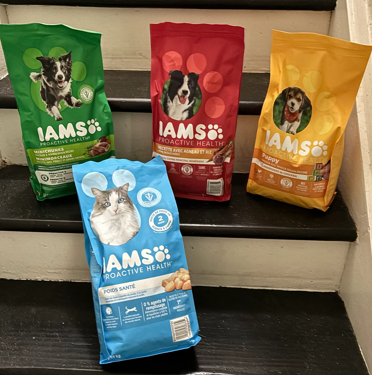 Iams pet food