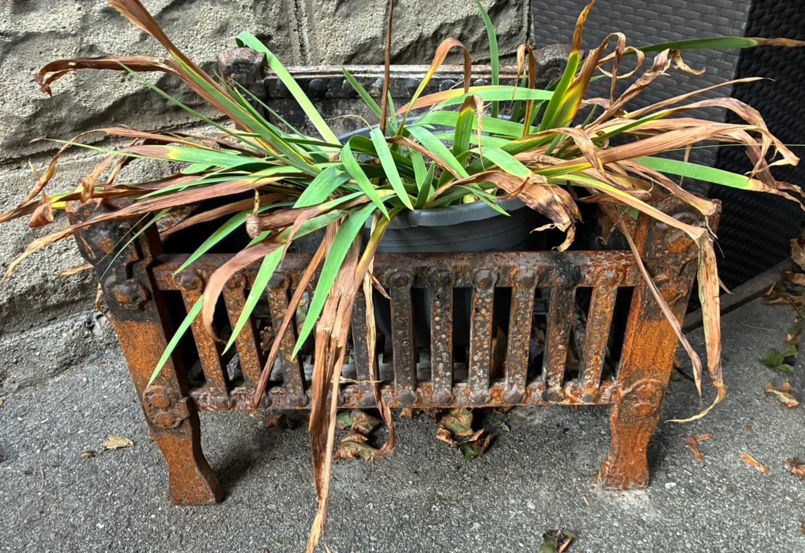 Antique Arts Crafts Cast Iron Fireplace Fire Basket Grate - photo 2