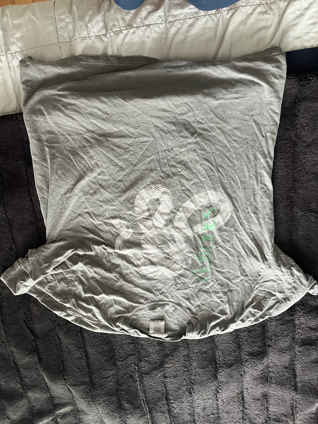 Deftones 2025 tour shirt.