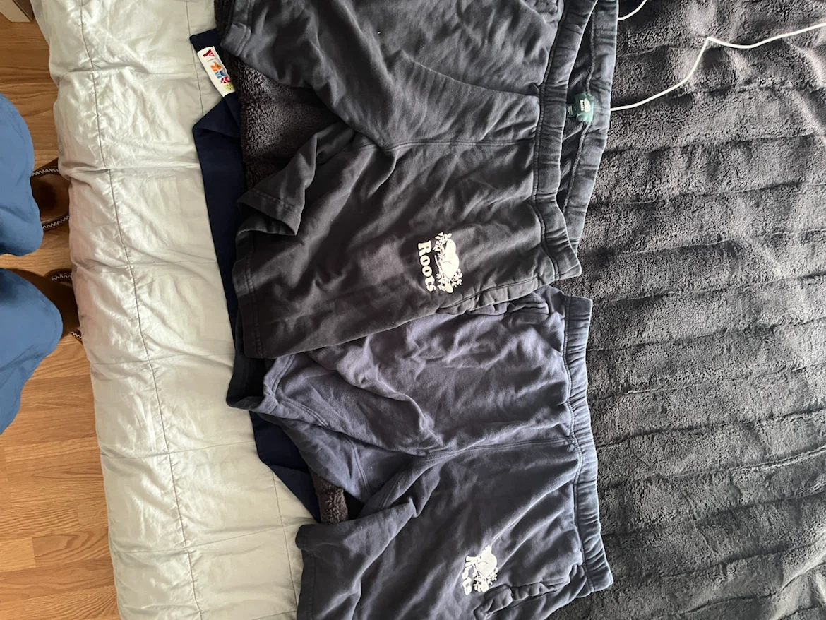 Roots sweat shorts