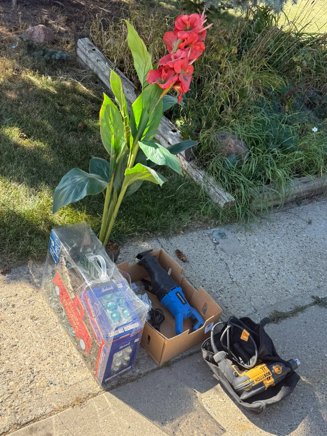 Free items available, new items added throughout the day