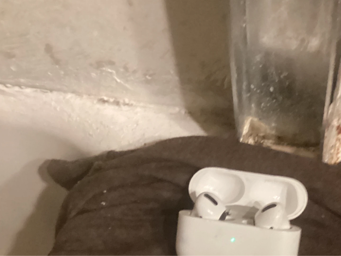 Apple ear buds pro2