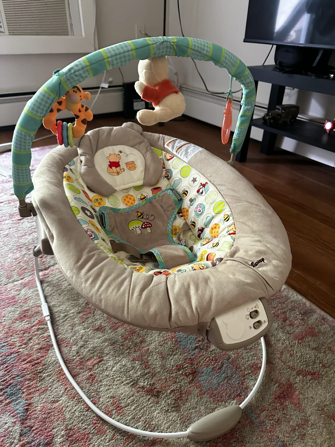 Free Disney Winnie the Pooh Baby Bouncer