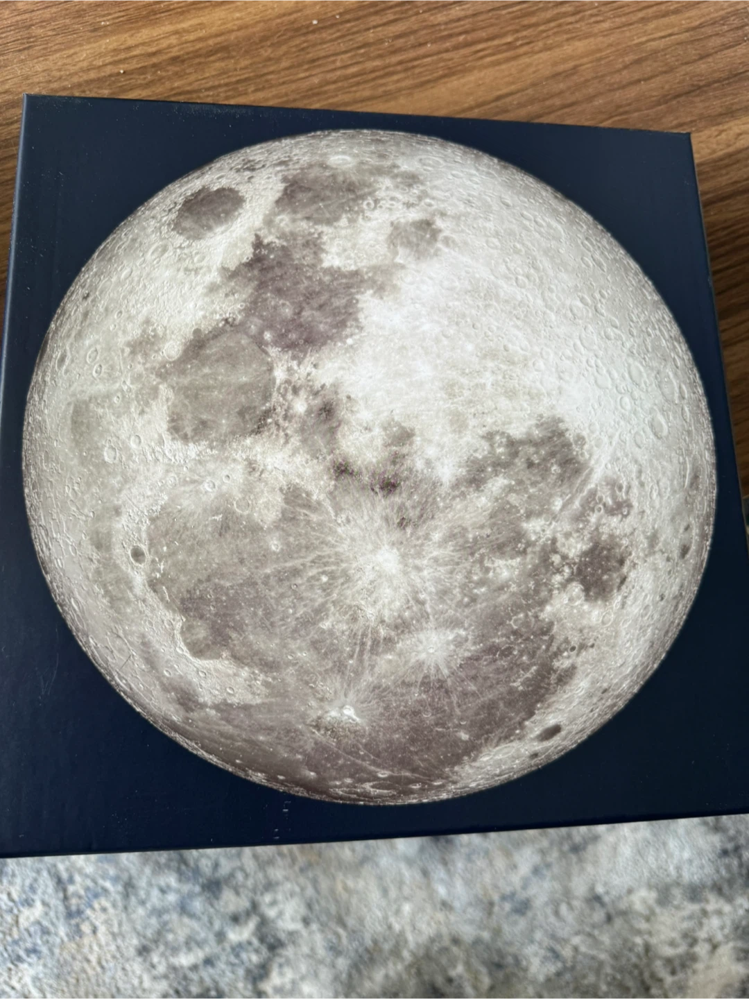 The Moon 1000 Piece Circular Puzzle