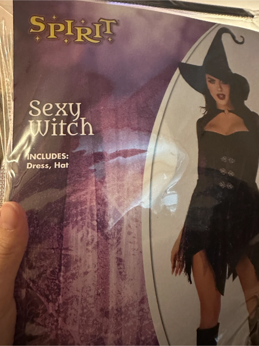 Spirit Sexy Witch Costume - Adult Large