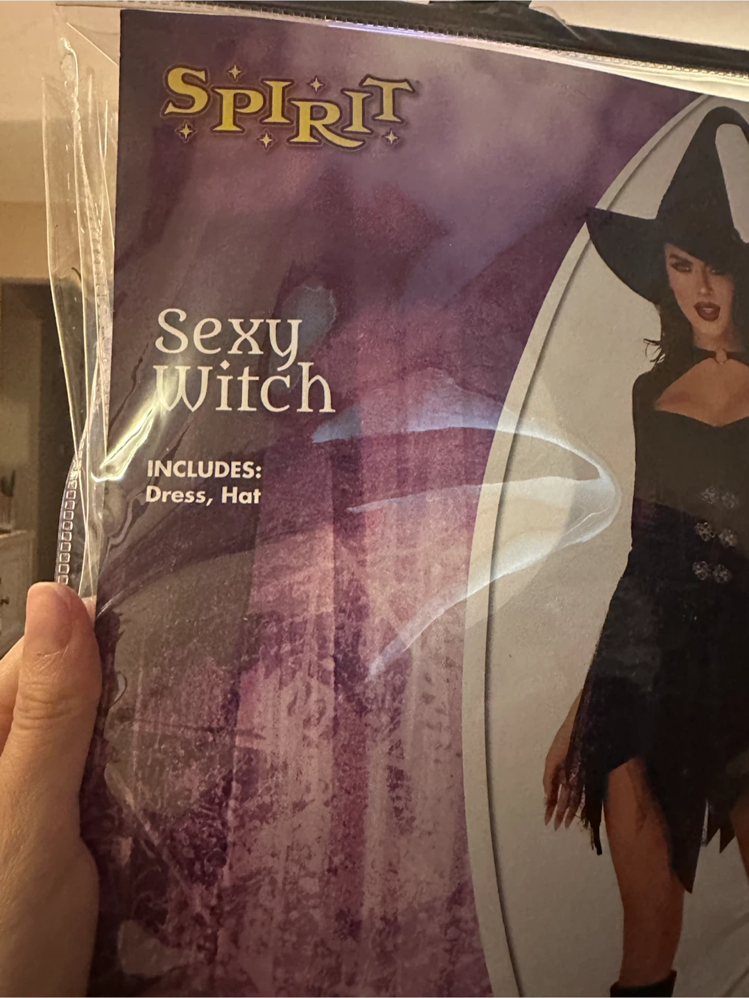 Spirit Sexy Witch Costume - Adult Large - photo 3
