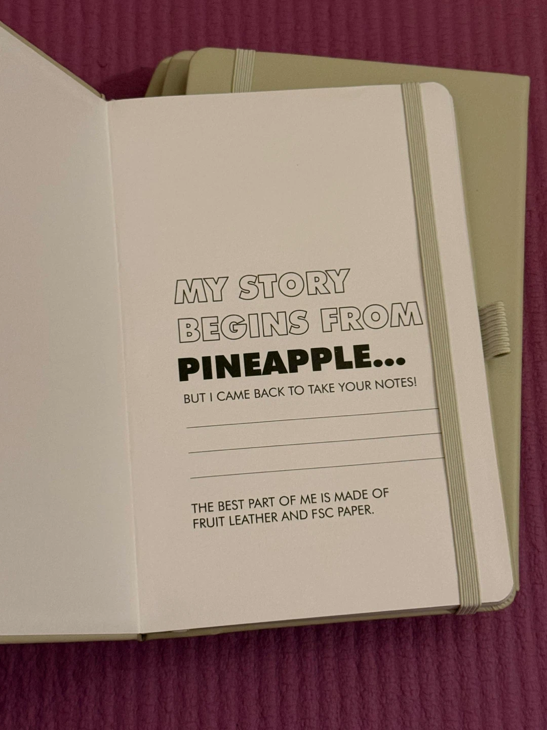 NEW✨🏈Set of 4 JournalBooks Pineapple Leather Notebooks - photo 3