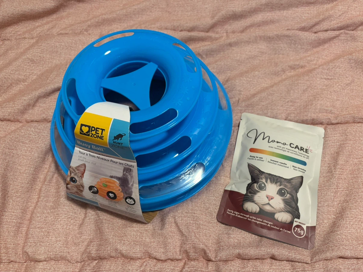Pet Zone Busy Ball Cat Toy and Momo Care Pack