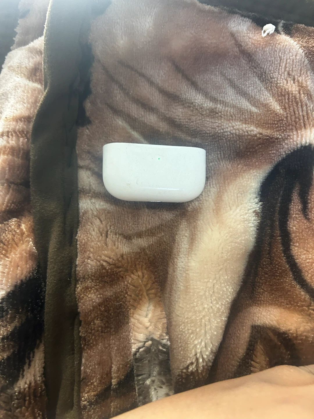 Apple AirPods Pro - photo 3