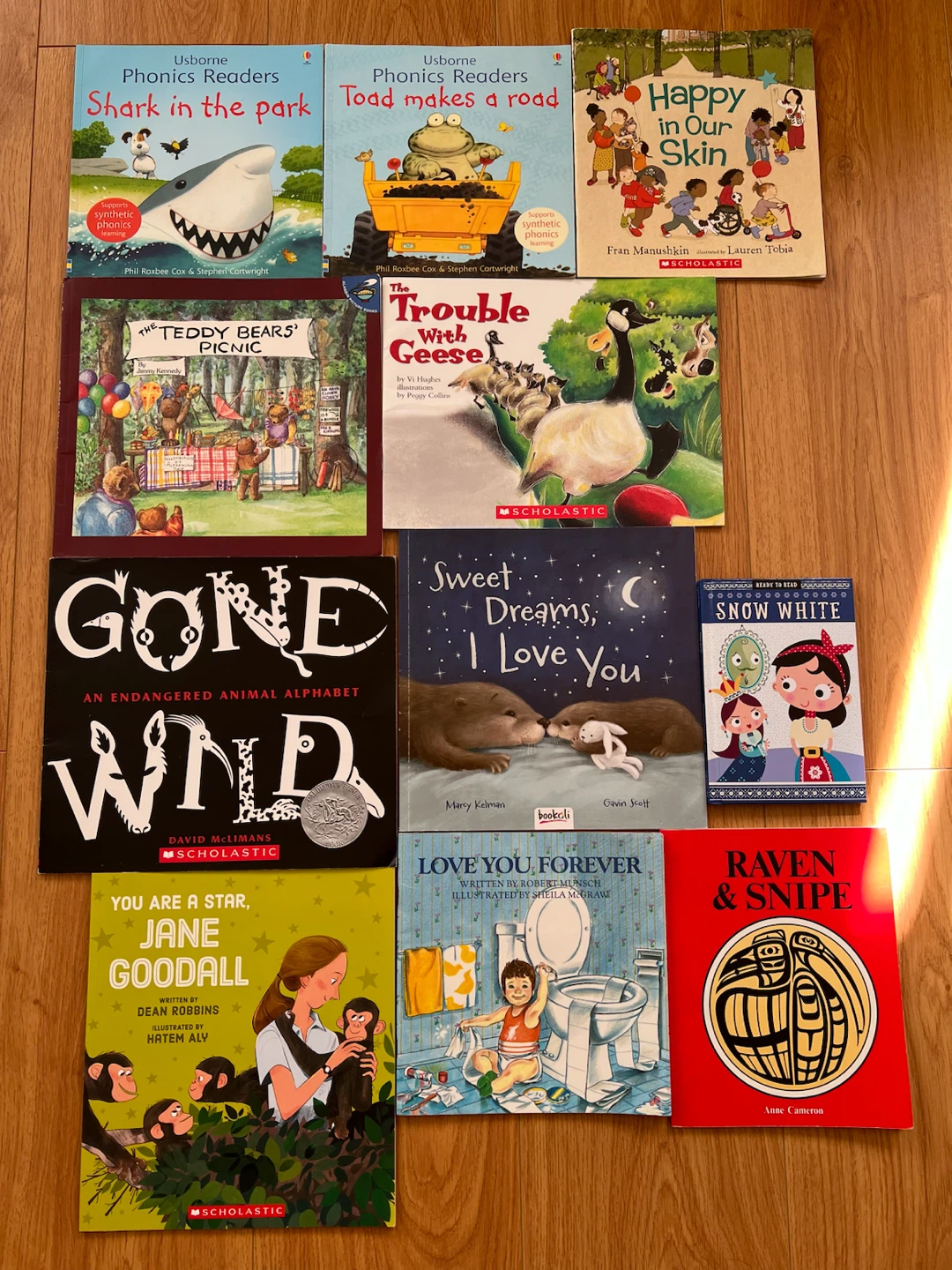 Children's Storybooks ($3 each)