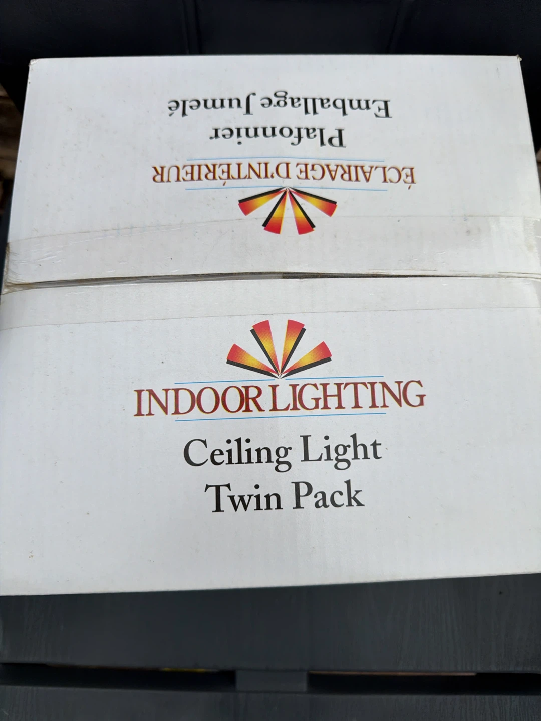 NEW Indoor Lighting Ceiling Light Twin Pack - photo 2