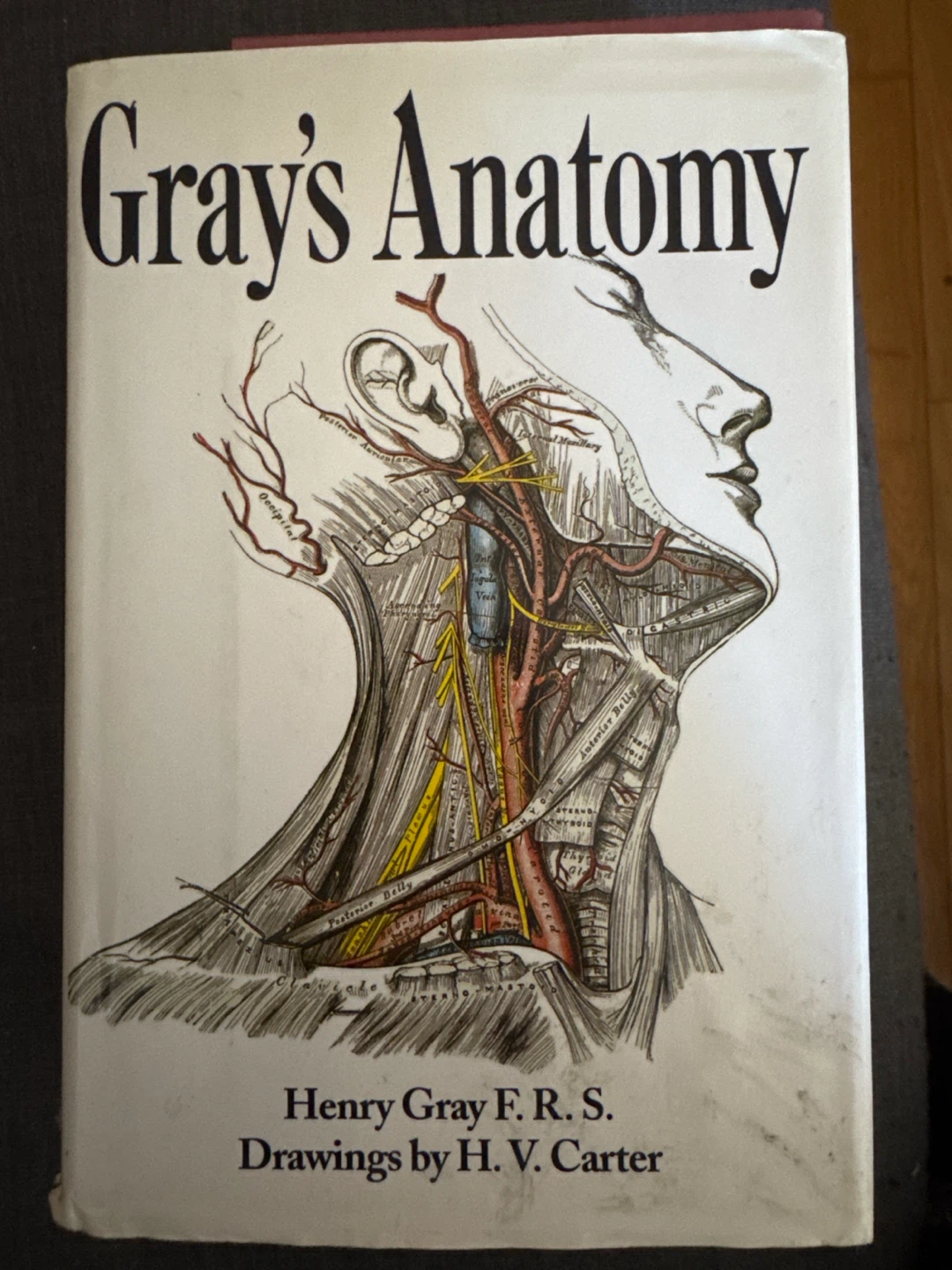 Gray's Anatomy Book - Barnes & Noble Edition