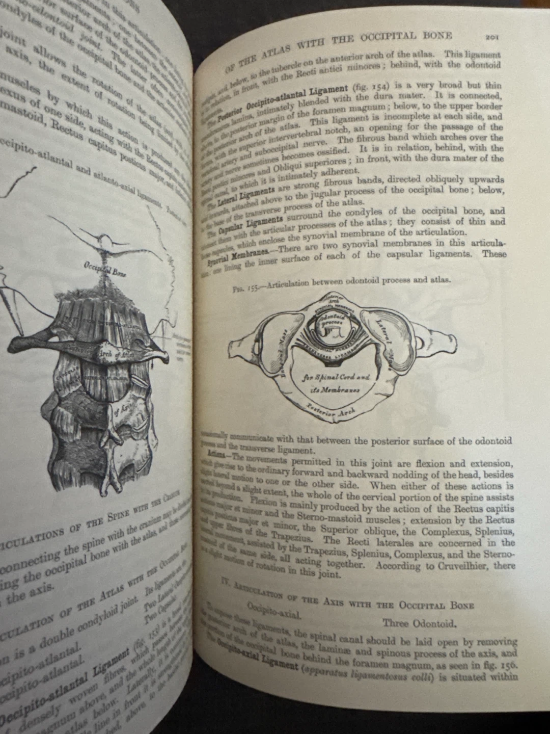 Gray's Anatomy Book - Barnes & Noble Edition - photo 4