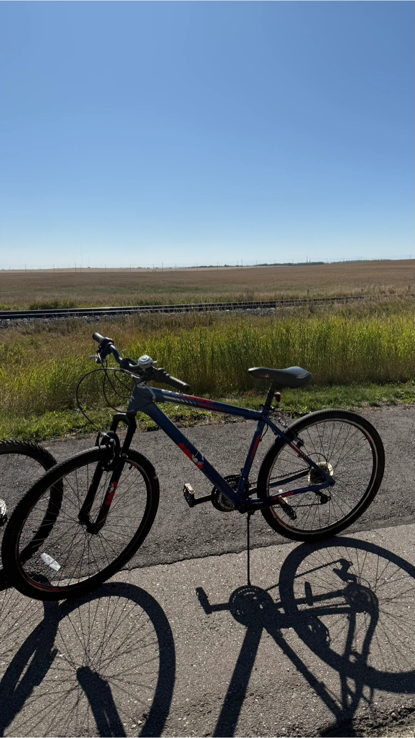 Bike - photo 2