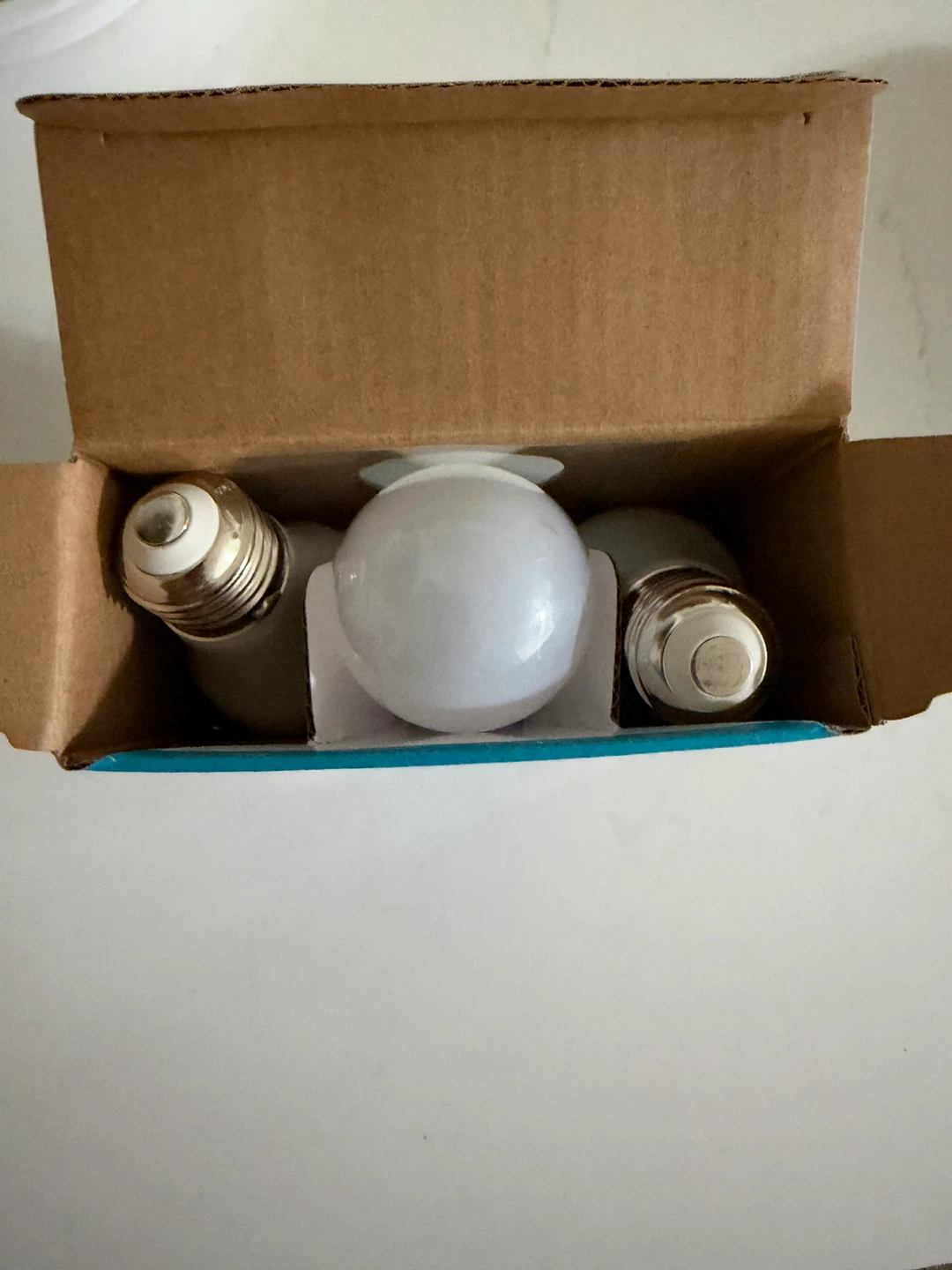 Ecosmart LED A15 Daylight Bulbs 3-Pack - photo 3