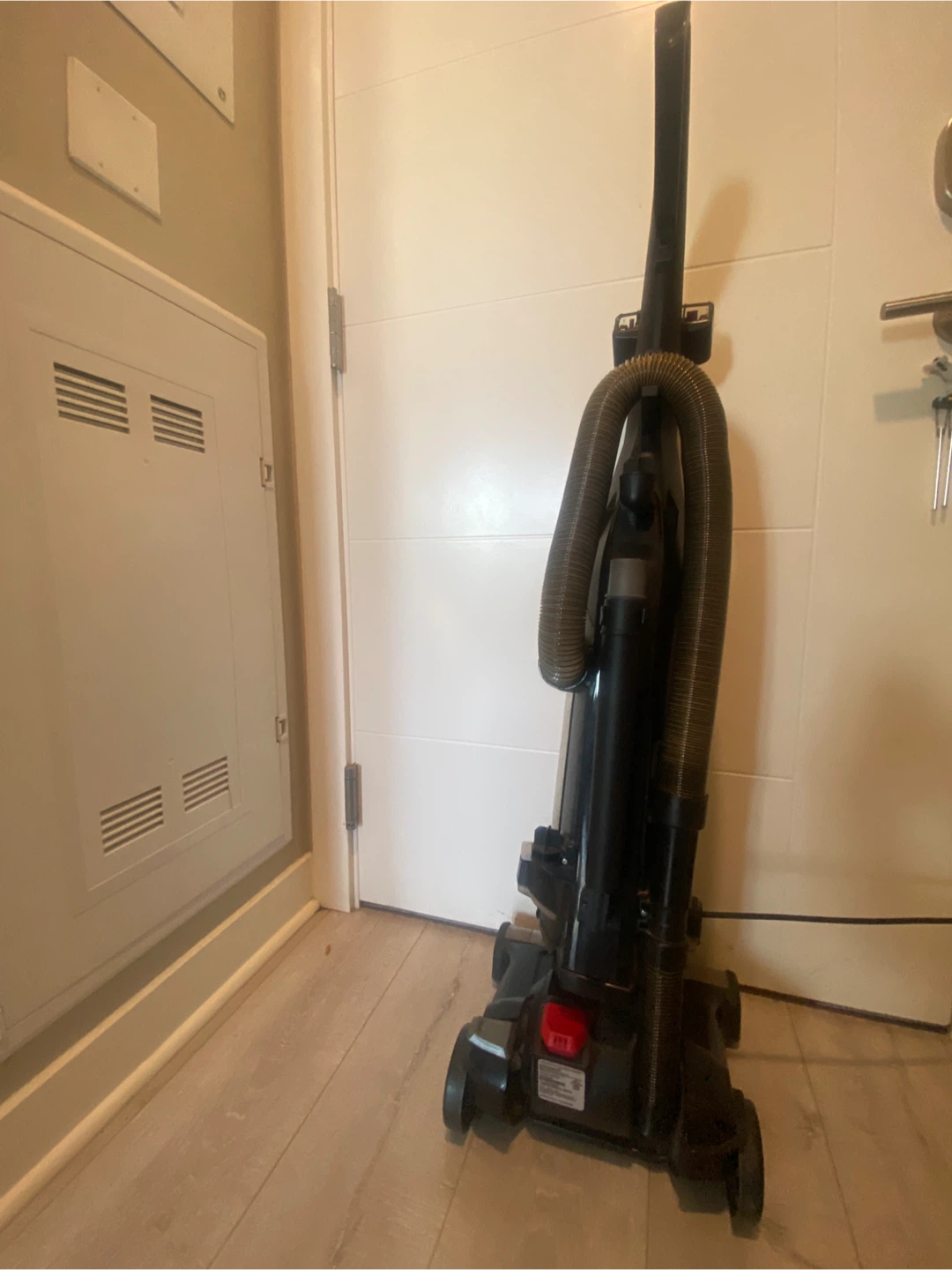 Bissell CleanView Swivel Rewind Pet Vacuum - photo 4