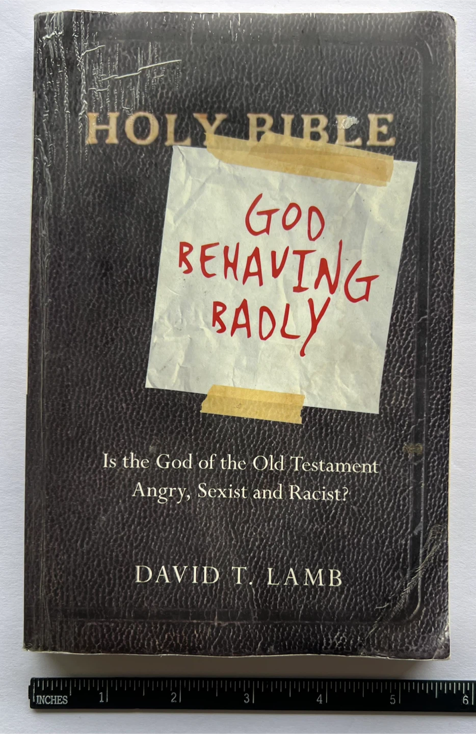 God Behaving Badly by David T. Lamb