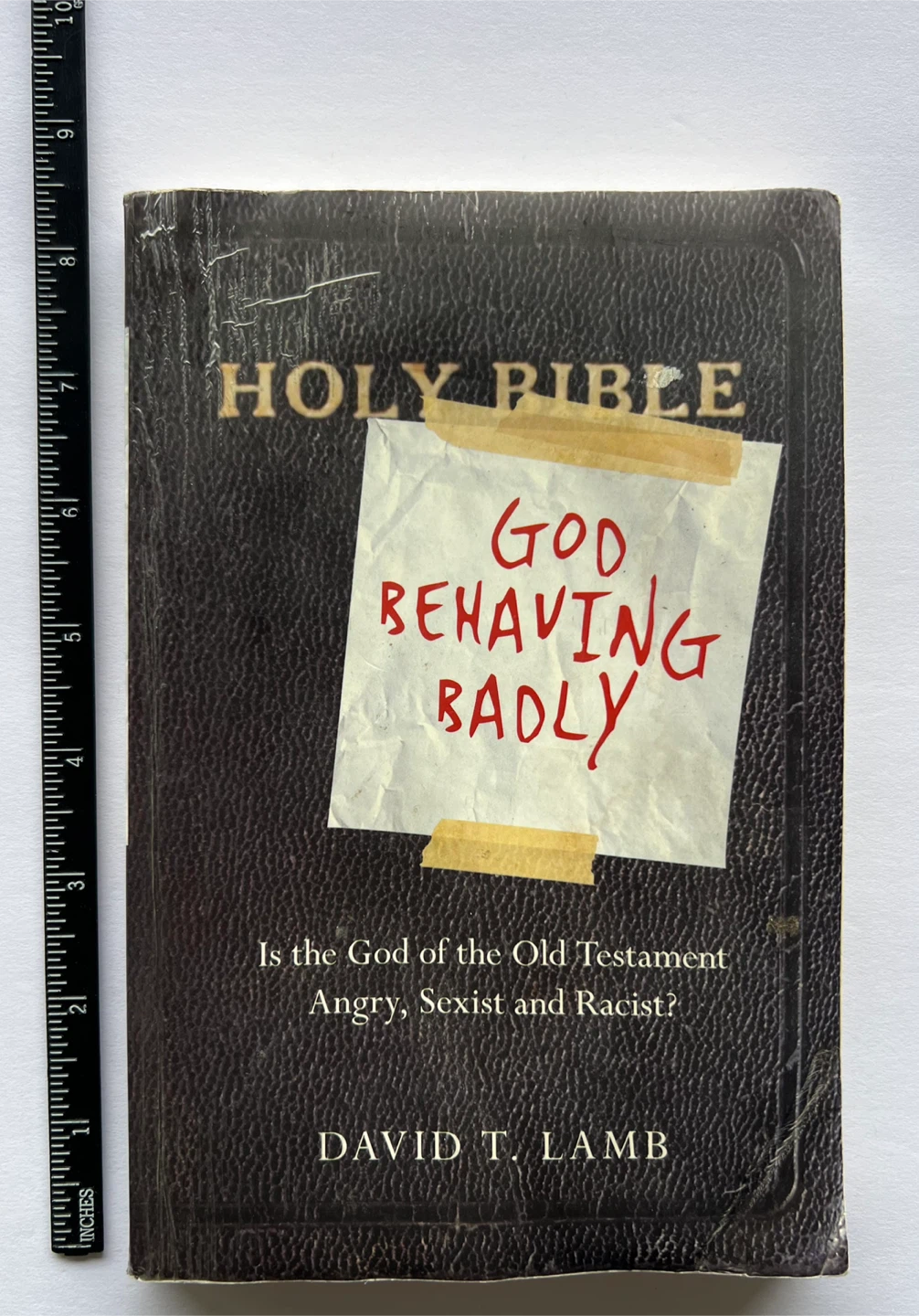 God Behaving Badly by David T. Lamb - photo 2