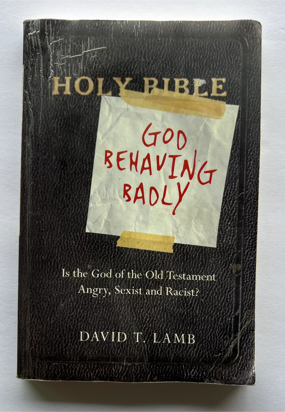 God Behaving Badly by David T. Lamb - photo 4
