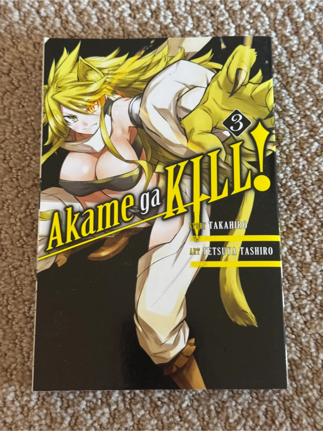Akame ga Kill! - Vol 1-6 (brand new) - photo 4