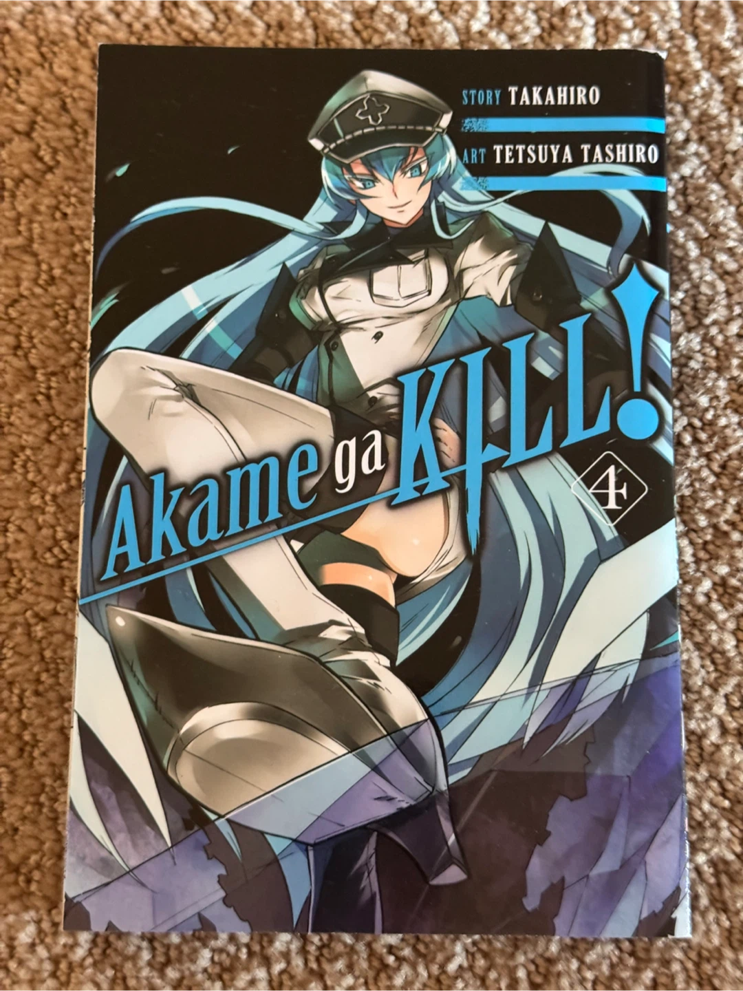 Akame ga Kill! - Vol 1-6 (brand new) - photo 5