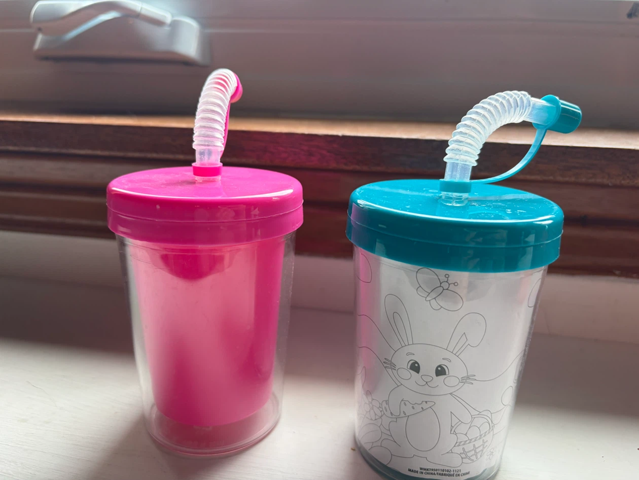 Set of 2 Kids Reusable Straw Cups