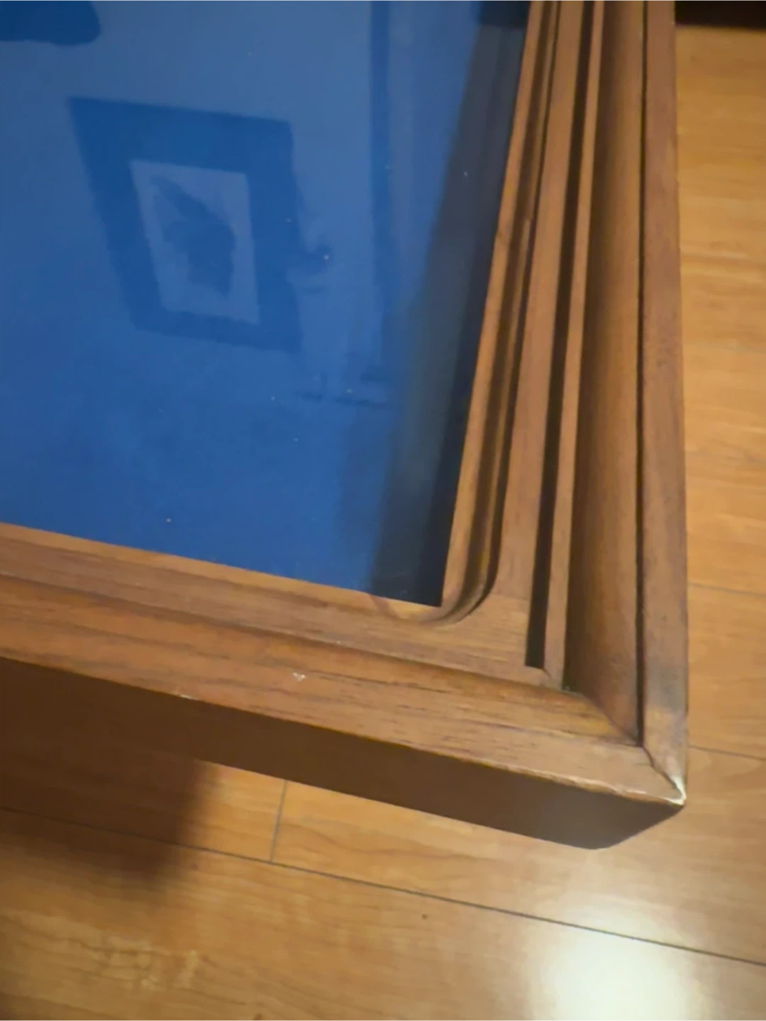 Beautiful Display Case - photo 4