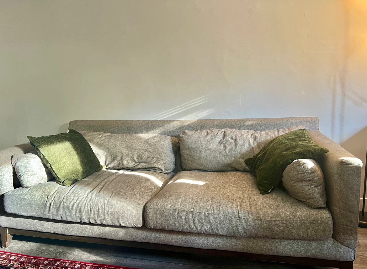 Urban Barn Nixon Sofa – Made in Canada - photo 2