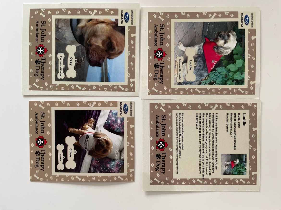 St. John ambulance dog therapy cards 🏈