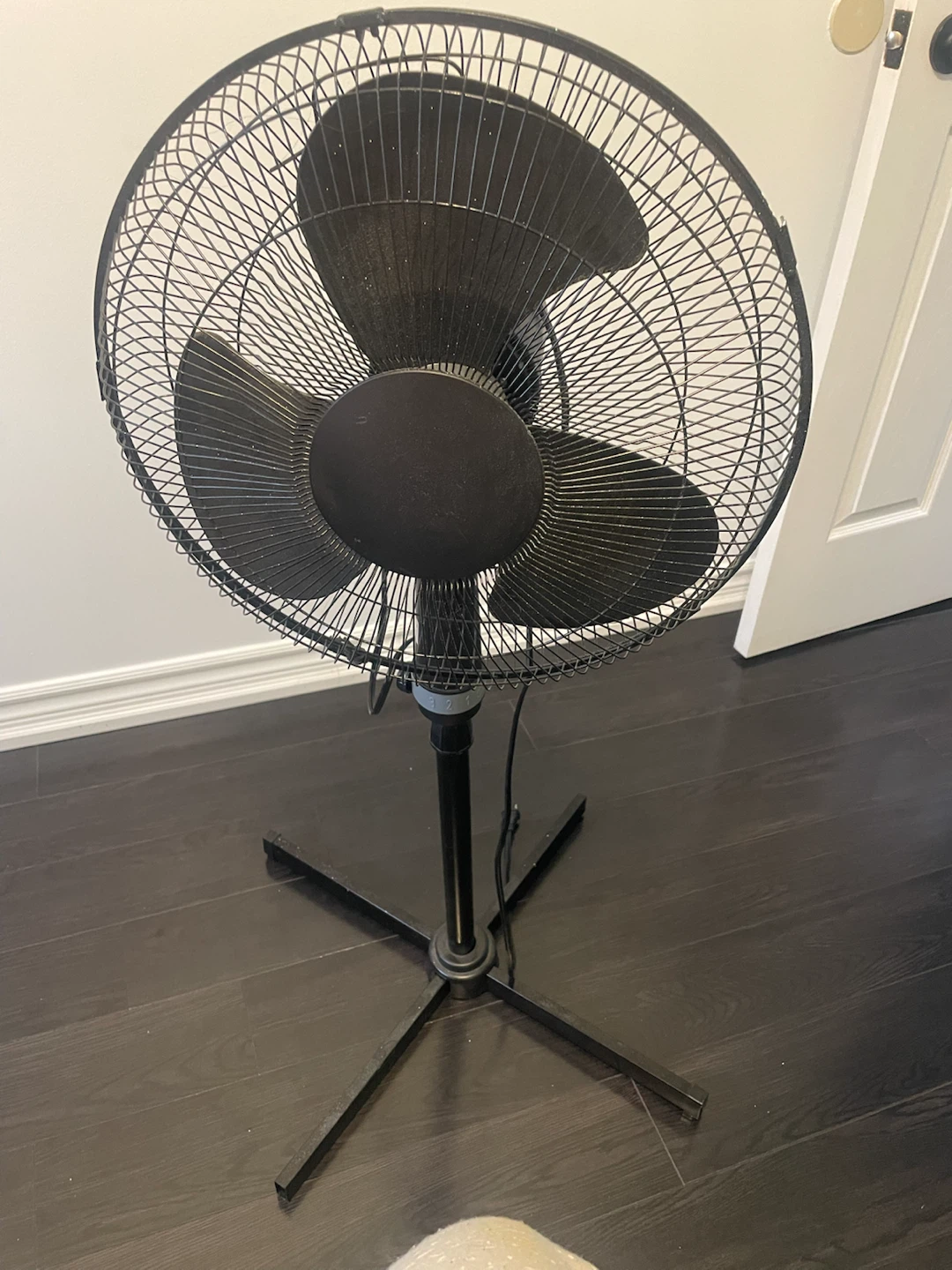 Black Pedestal Fan