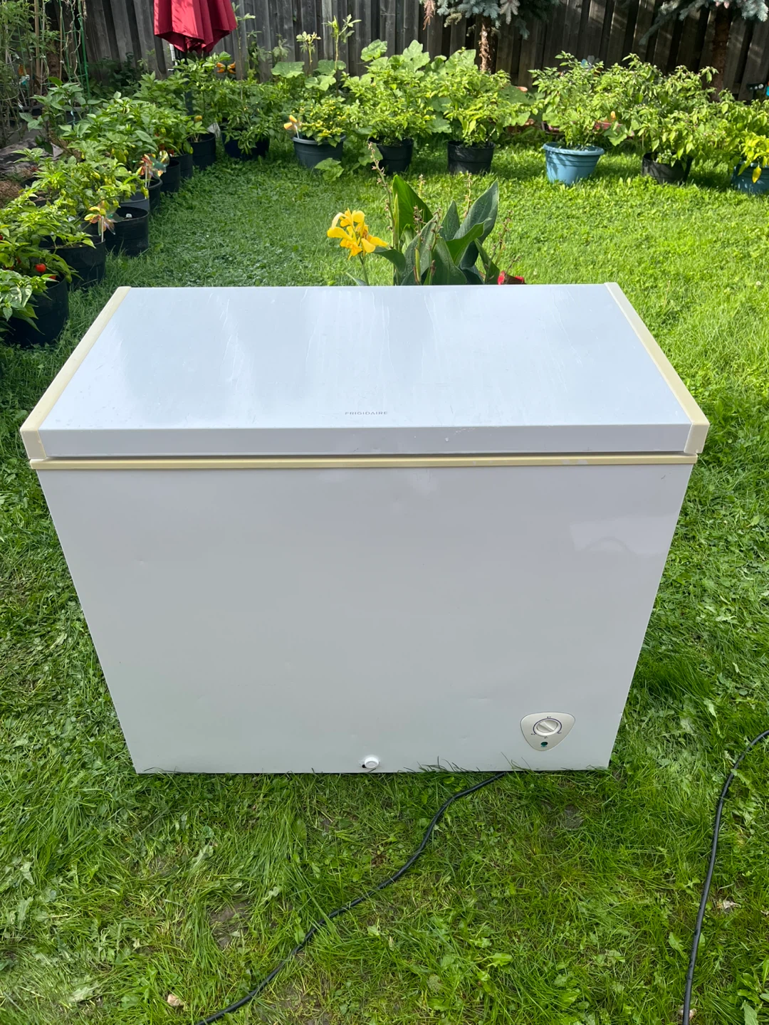 Frigidaire Chest Freezer Model FFFC07M1QW