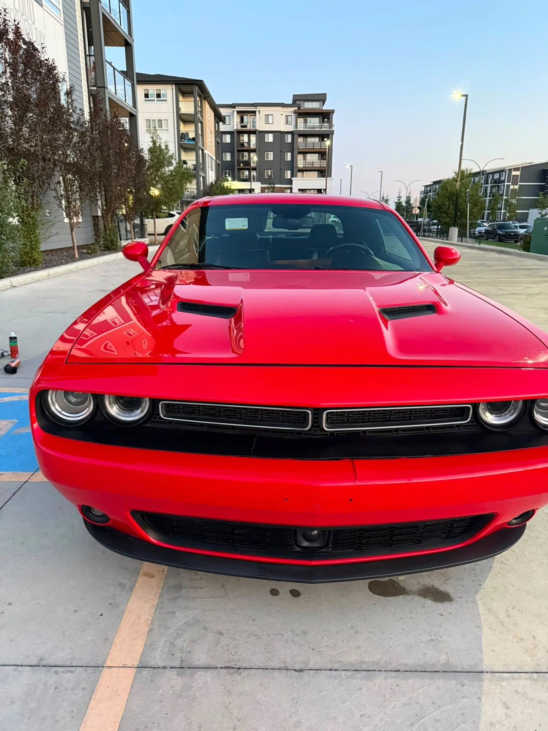 Dodge Challenger - photo 4