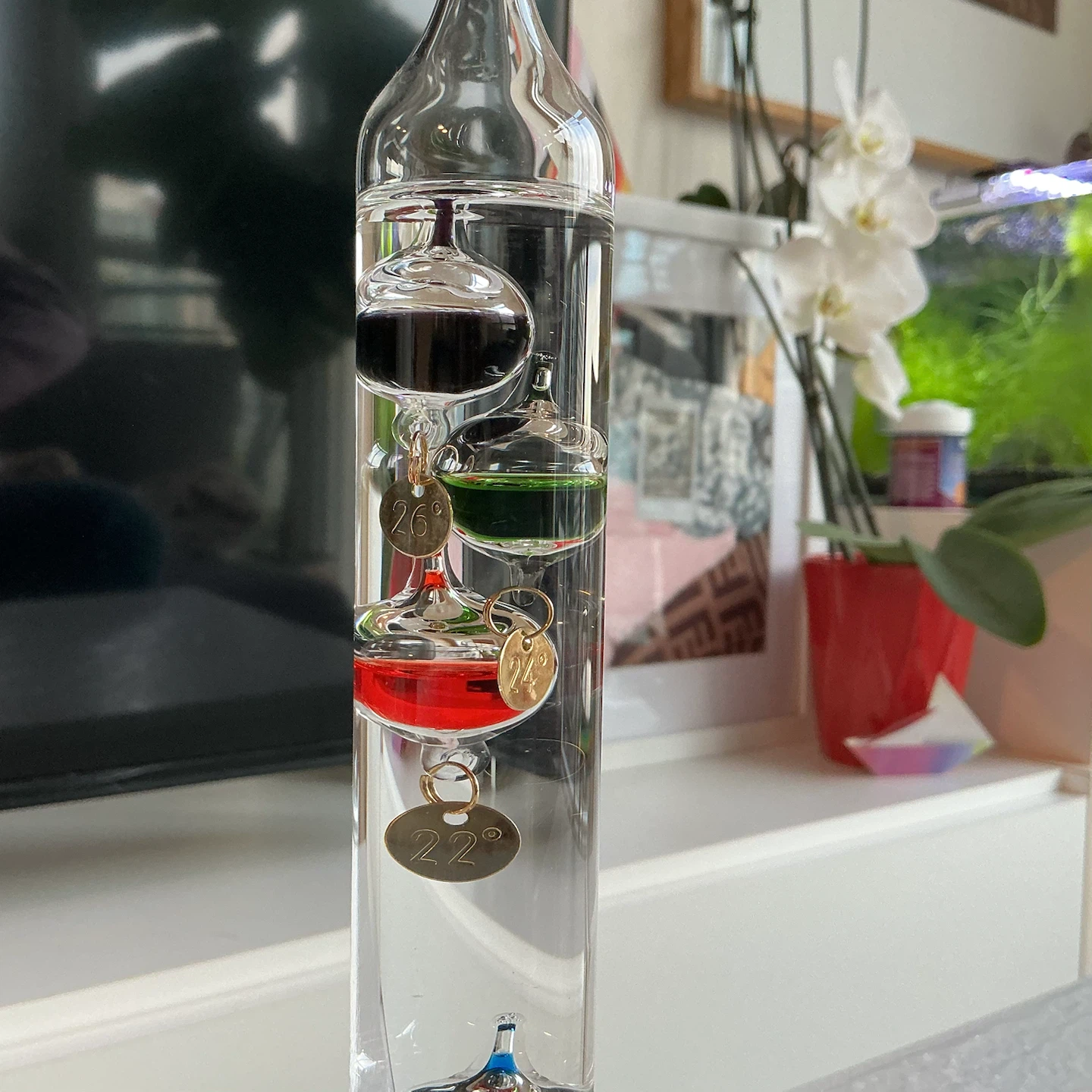 Galileo Thermometer - photo 3