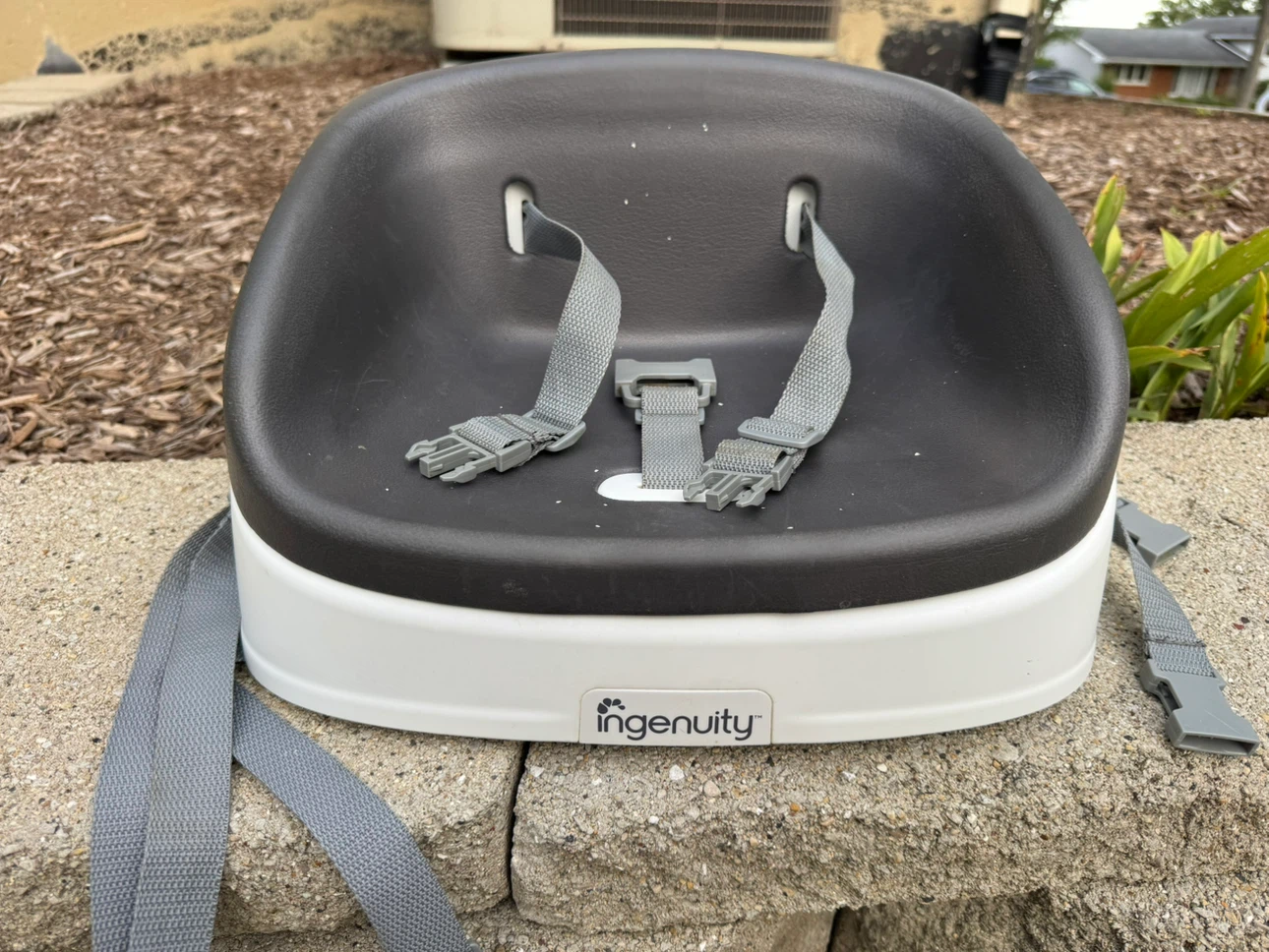 Ingenuity Baby Booster Seat